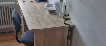 Room-single Bed, Private Room With Bear