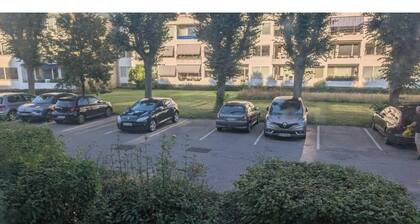 Room-single Bed, Private Room With Bear