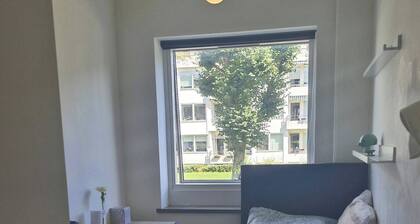 Room-single Bed, Private Room