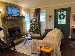 Smart TV, fireplace, books