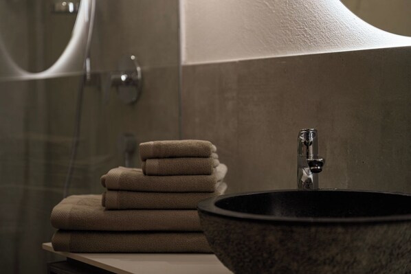 Douche, séchoir à cheveux, bidet, serviettes fournies