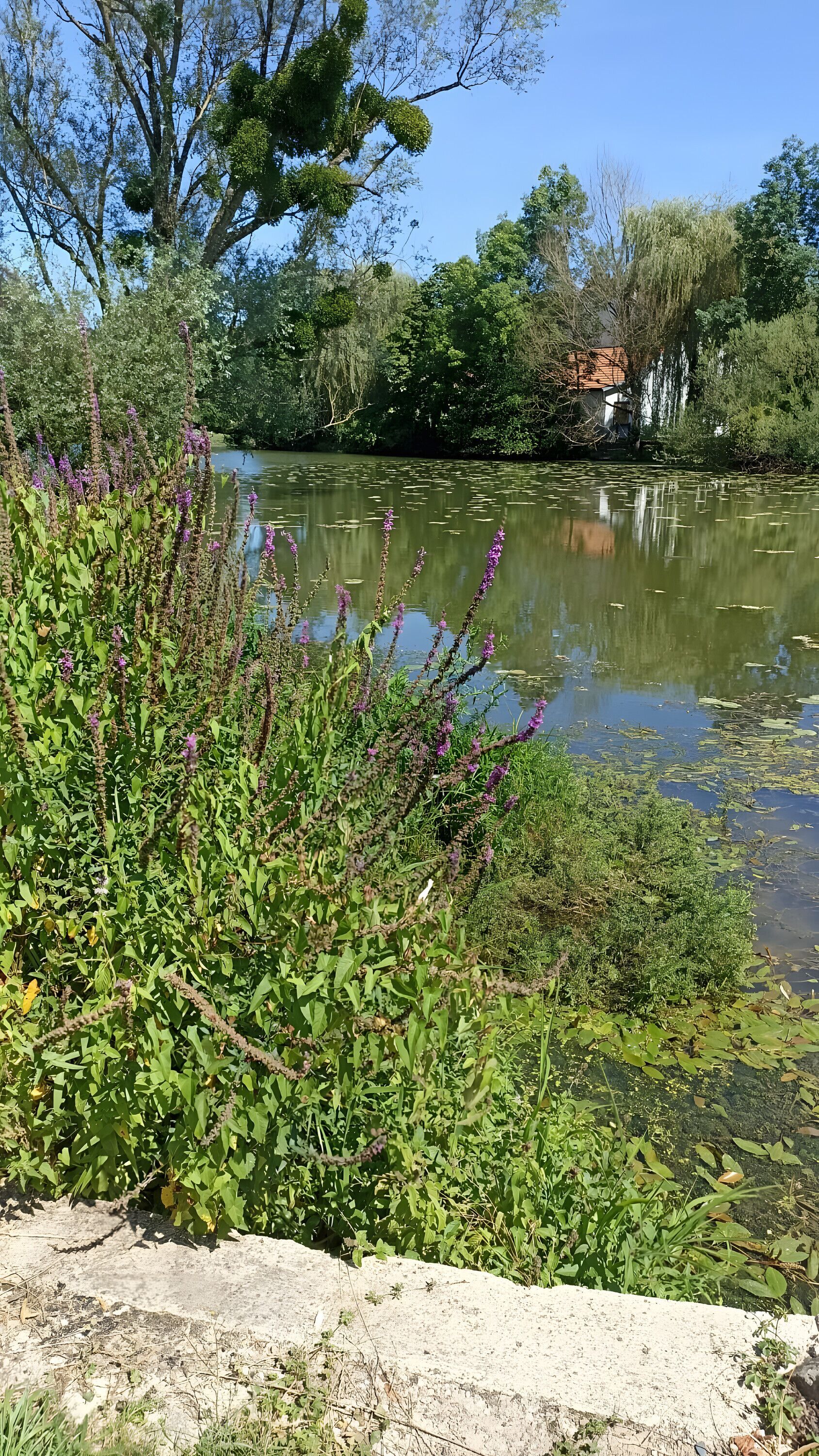 Terrein van de accommodatie
