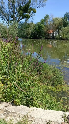 Apartment 'Bienvenue Au Bord De Meuse' with Wi-Fi