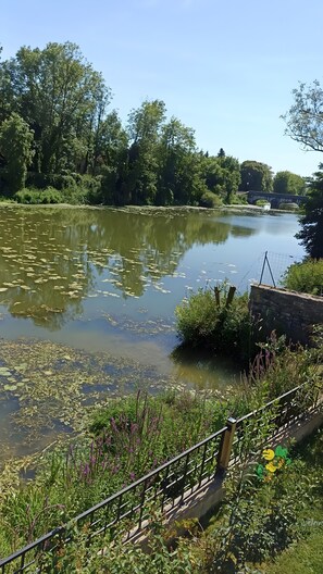A calm river with lily pads, surrounded by lush greenery and a stone bridge.