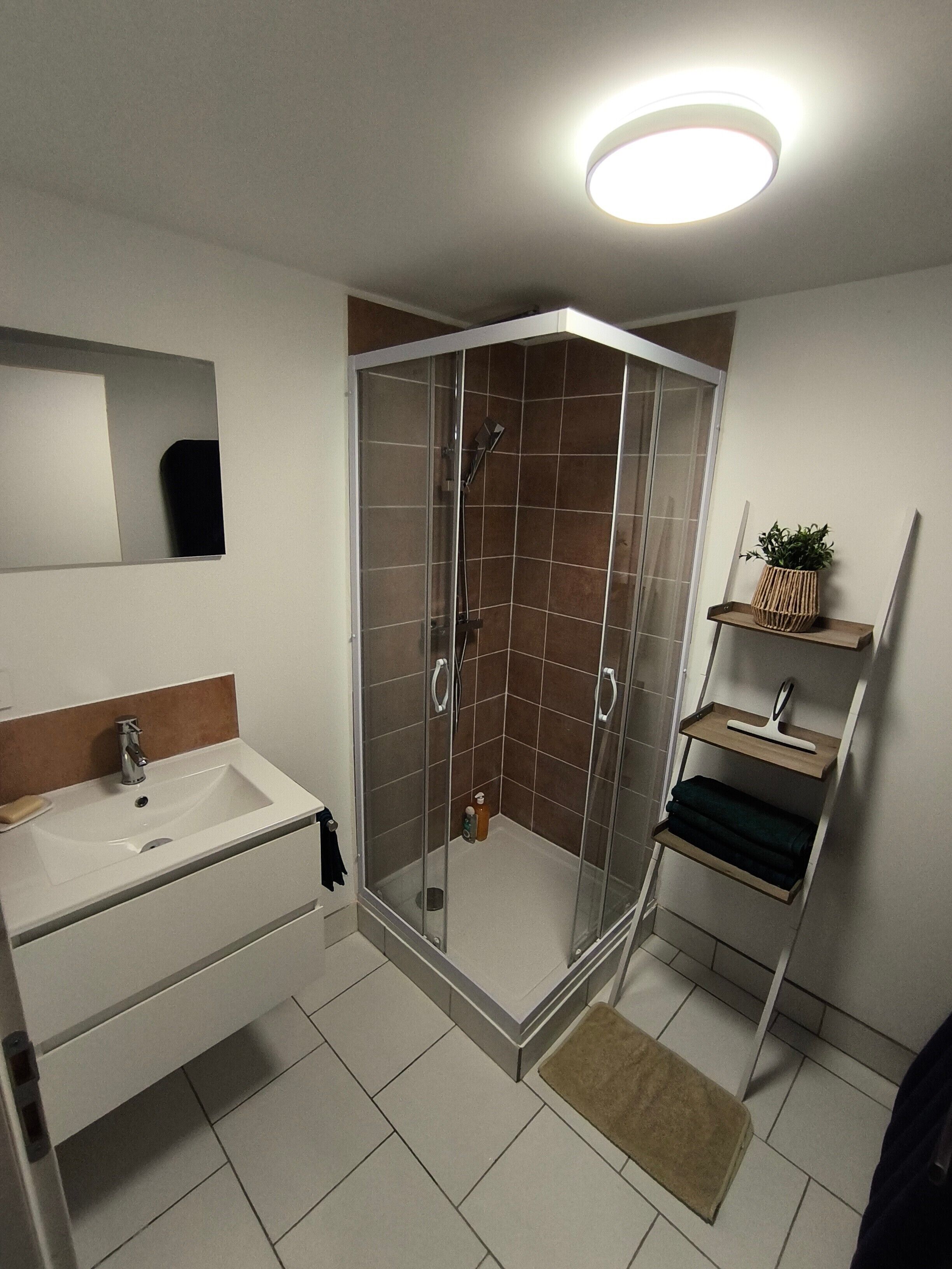 A modern bathroom with a glass-enclosed shower, a white sink, and a mirror above it.