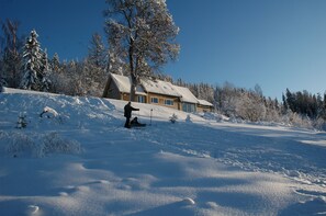 Lumi- ja hiihtourheilulajit