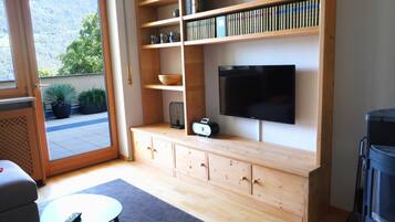 Televisión, chimenea y libros