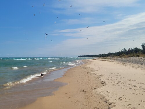 A Frame cabin with a short stroll to a gorgeous sandy beach!