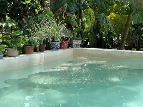 House in the jungle 2 BEDROOMS, EQUIPPED KITCHEN & ALBERCA