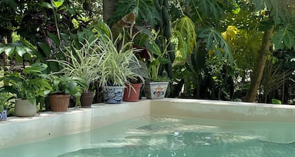 House in the jungle 2 BEDROOMS, EQUIPPED KITCHEN & ALBERCA