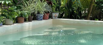 House in the jungle 2 BEDROOMS, EQUIPPED KITCHEN & ALBERCA