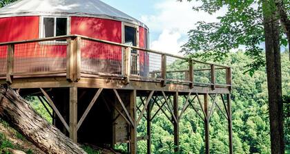 Check out this Yurt in Tazewell County at Stoney Ridge