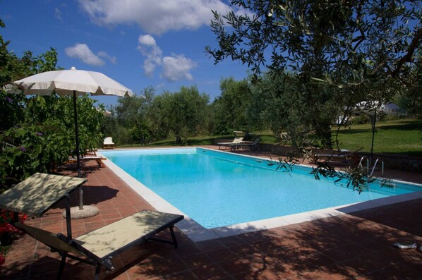 A rectangular swimming pool with a white umbrella, lounge chairs, and a brick patio.