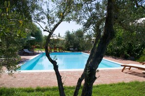 A rectangular swimming pool with a tiled deck, surrounded by trees and outdoor furniture.