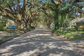 A tree-lined street with houses on both sides, a mailbox, and a blue car parked on the left.