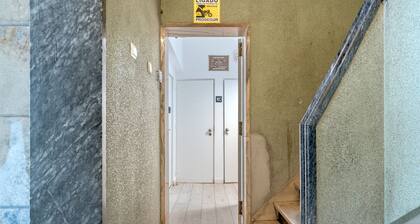 Estrela House III by Homing