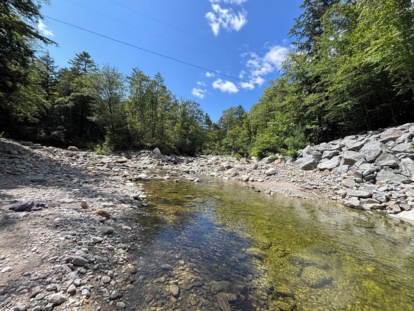 Un arroyo cristalino rodeado de rocas y árboles.