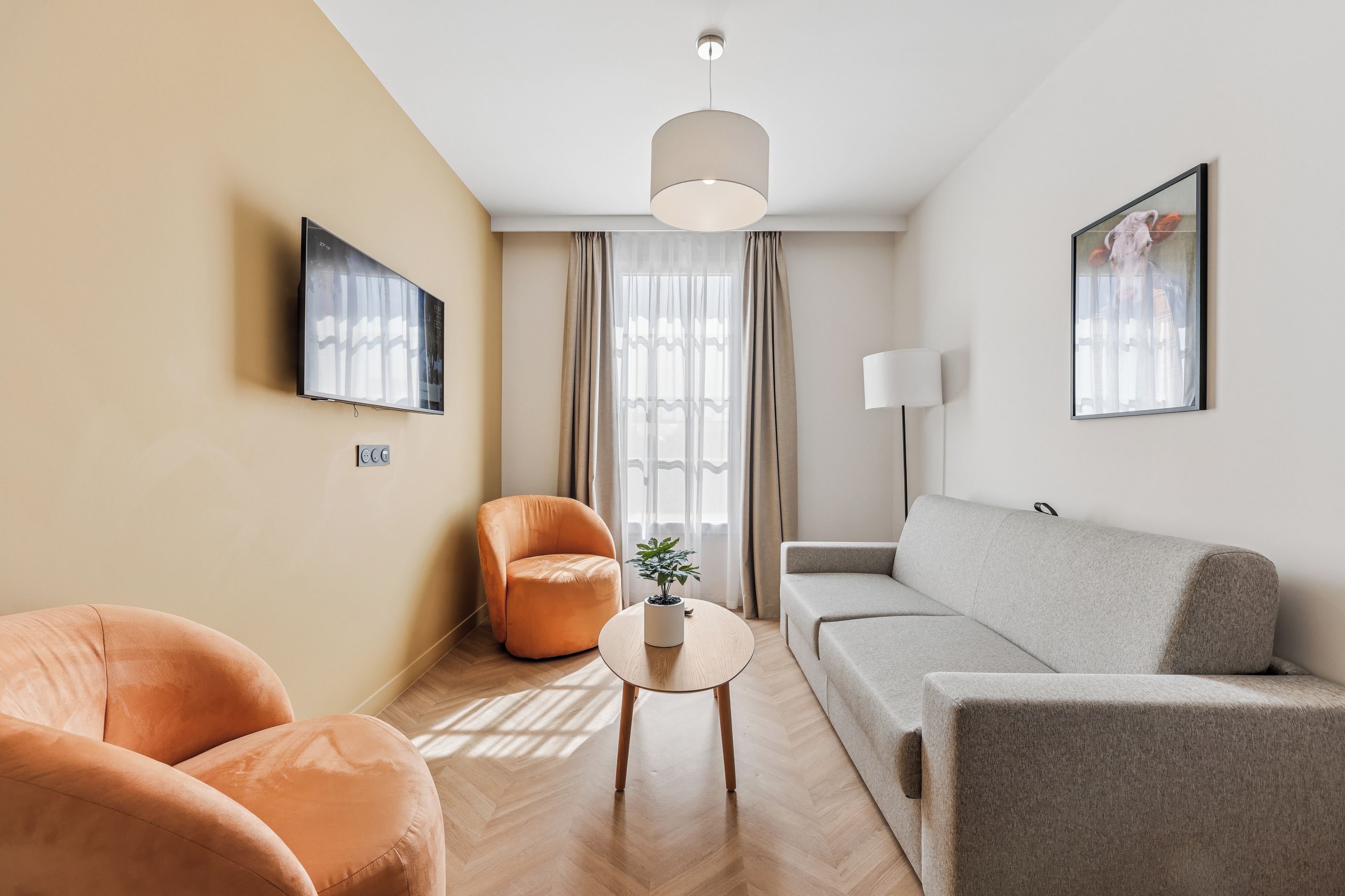 Een moderne woonkamer met een bank, fauteuil en een kleine tafel met een plant.