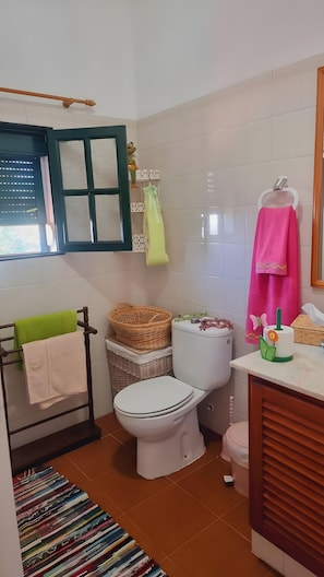 Ducha, secador de pelo y toallas
