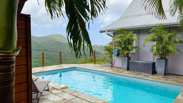 A swimming pool with stone tiles, a lounge chair, and potted plants. - Lodge 2 - Hibiscus - Jaccuzi Privé (Les Anses-d'Arlet)