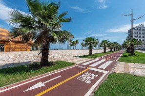 Un chemin pavé, agrémenté de flèches indiquant le sens de circulation et d’une piste cyclable signalée par la mention « GRATUIT ».