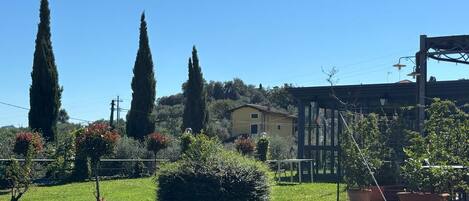 A garden with a pathway, a pergola, and a building in the background.