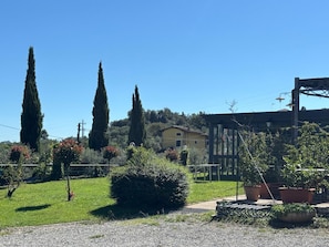 A garden with a pathway, a pergola, and a building in the background.