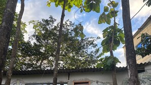 Um edifício com escadaria revestida em mosaicos que leva a uma porta de madeira.