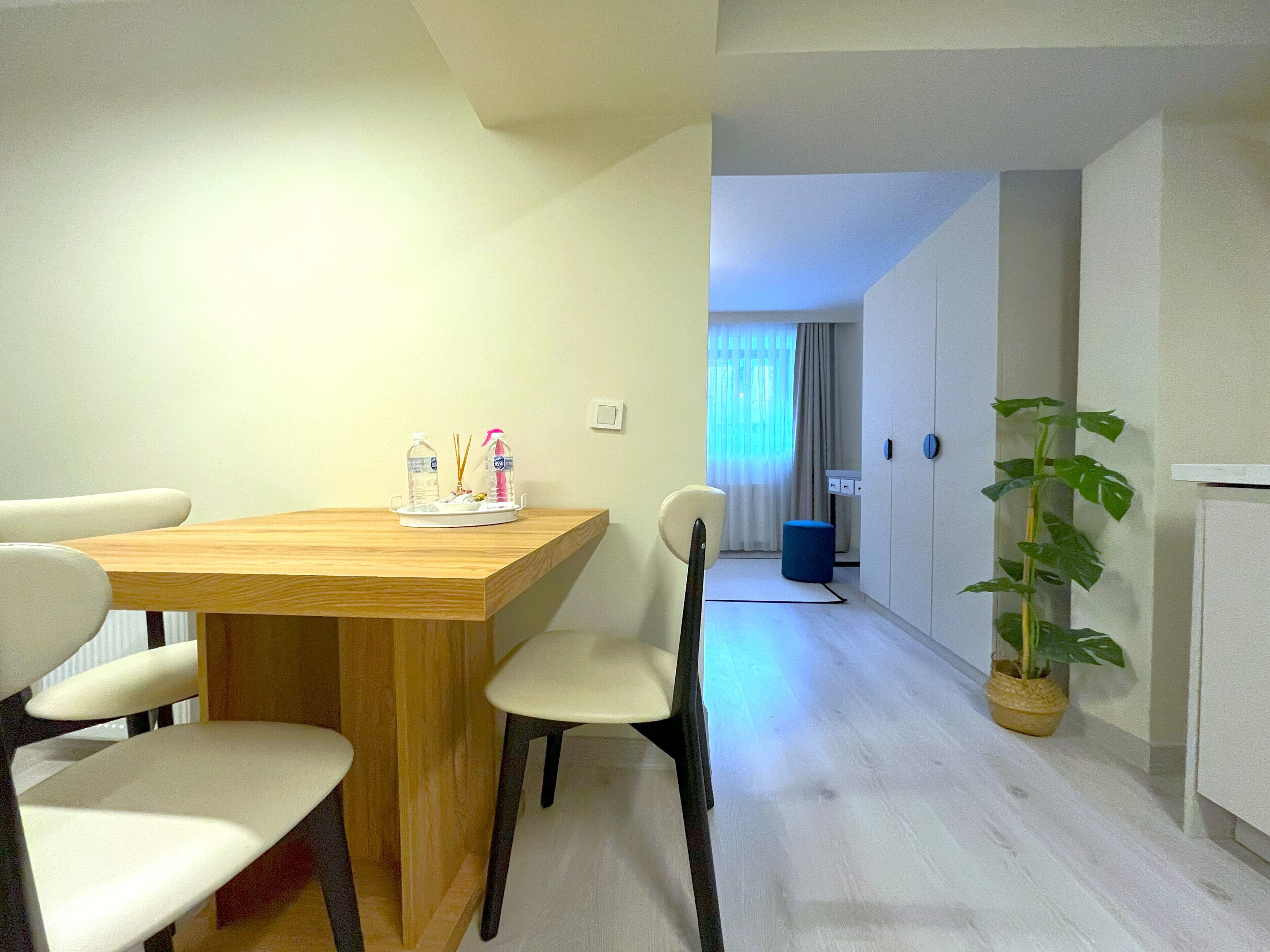 A dining area with a wooden table and four chairs, a small tray with bottles and a spray bottle, a potted plant, and a view of a corridor with a window and curtains.