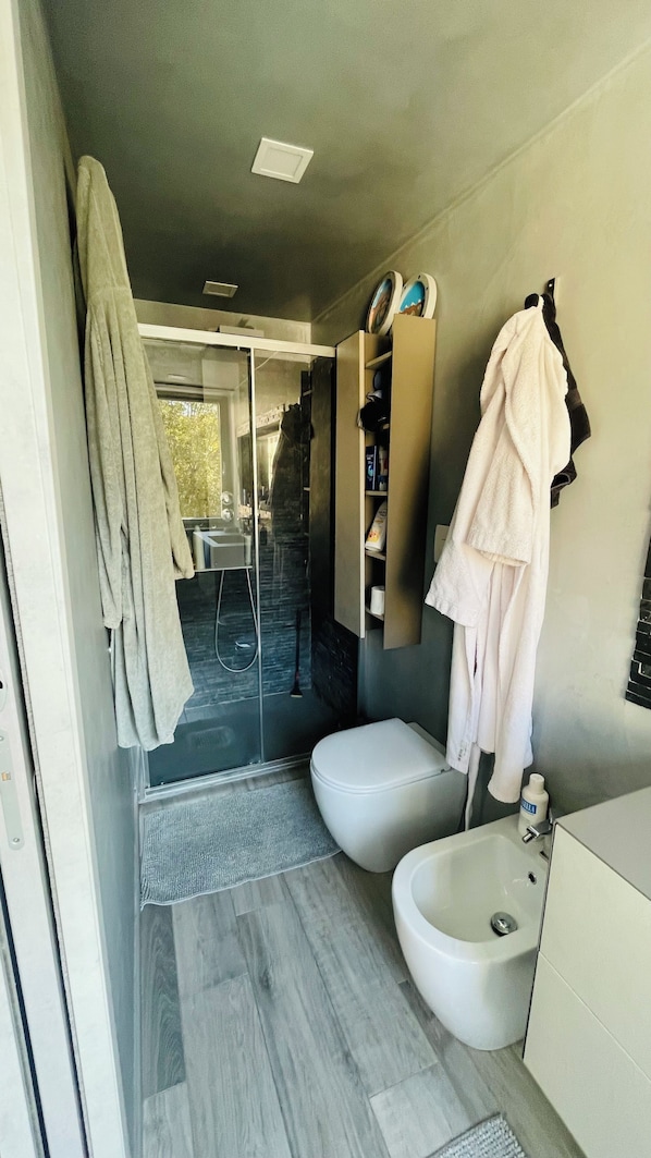 Hair dryer, bidet, towels, toilet paper