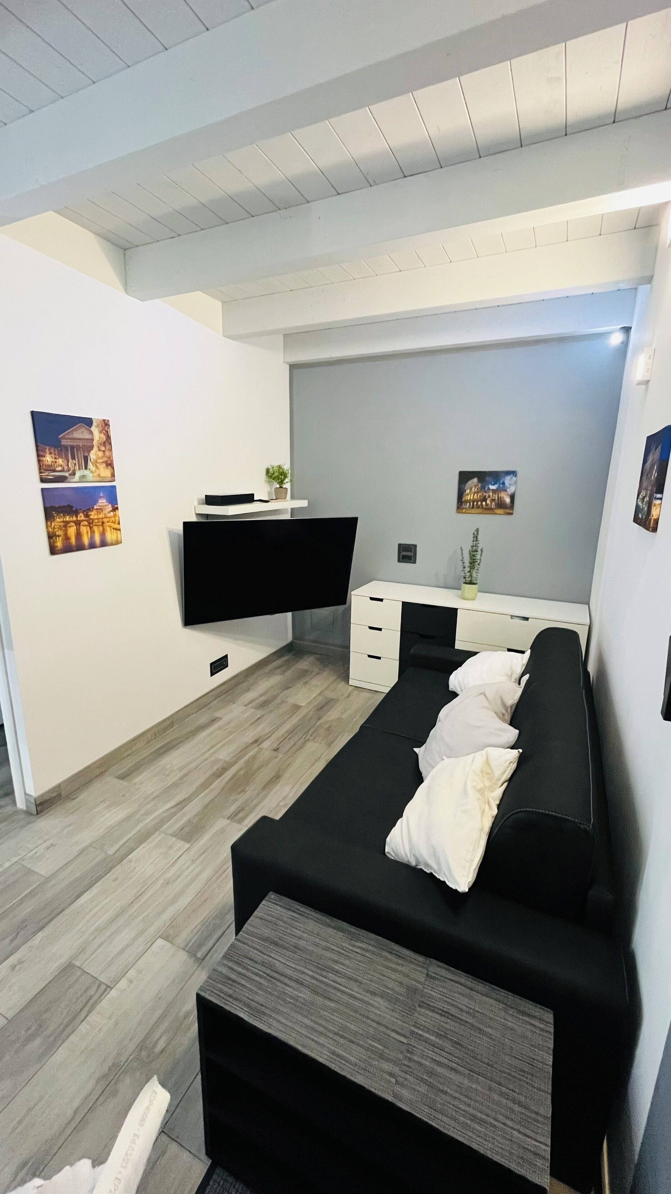 A modern bedroom with a black sofa bed, a flat-screen TV, a desk, and a potted plant.
