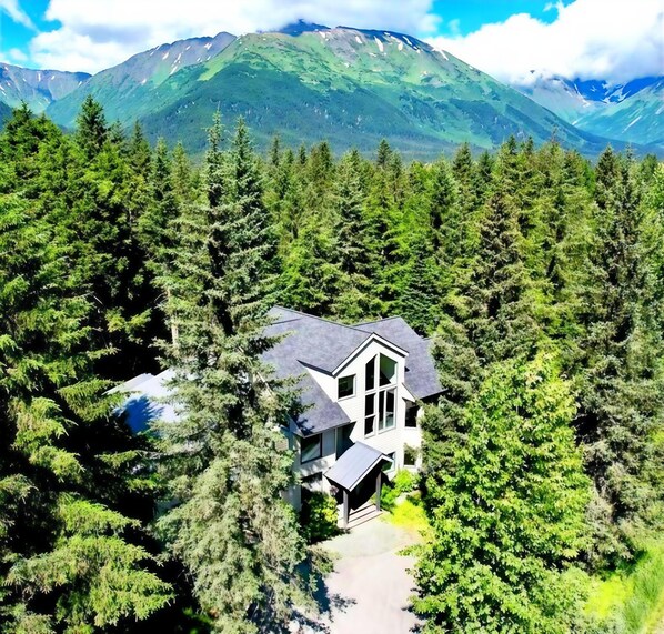 Exterior - Luxury - Huge kitchen, living room, master bedrooms & mtn views. Walk to lifts! (Girdwood)