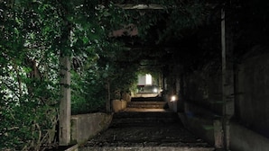 Un escalier à demi-éclairé menant à un niveau supérieur, entouré d’une végétation luxuriante et de murs en béton.