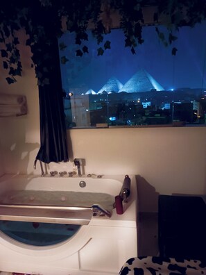 Shower, jetted bath, hair dryer, bidet