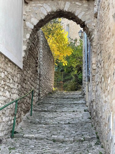 "The Song of the Cicadas"