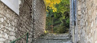 "The Song of the Cicadas"