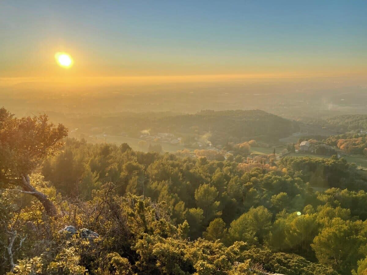 Une vue panoramique d’un paysage boisé, avec en arrière-plan le profil d’une ville lointaine, probablement prise au lever ou au coucher du soleil.