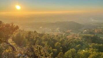 Une vue panoramique d’un paysage boisé, avec en arrière-plan le profil d’une ville lointaine, probablement prise au lever ou au coucher du soleil.
