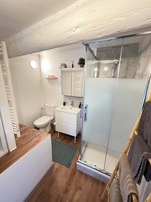 Shower, hair dryer, towels