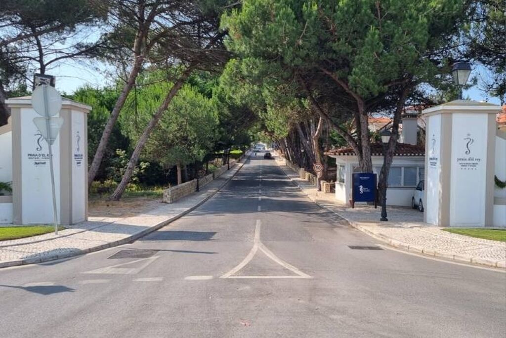 Una strada alberata con fondo libero, una cassetta delle lettere blu e un edificio bianco con un cartello.