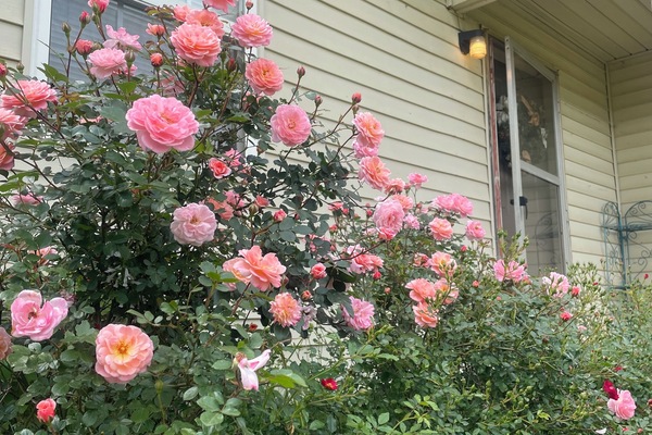 Details aan de buitenkant