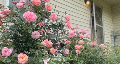 The May House, 2-bedroom Dardanelle country home with a gorgeous view