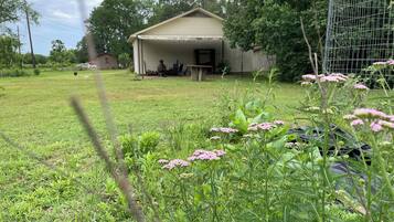 Terrein van de accommodatie