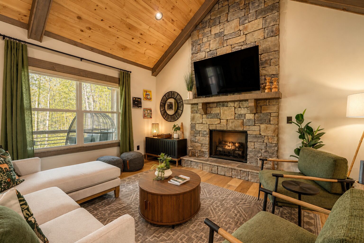 Smart TV, fireplace, books