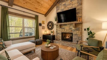 Smart TV, fireplace, books