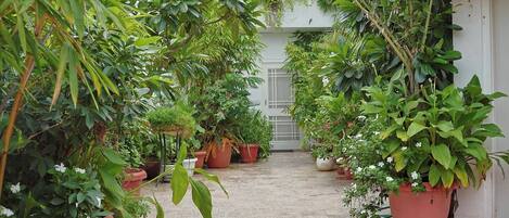 DĂ©tail de lâextĂ©rieur