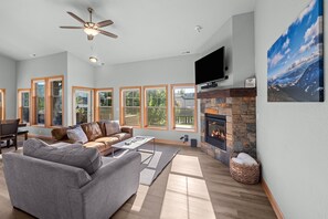 TV, fireplace, books
