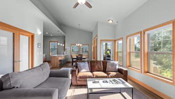 TV, fireplace, books