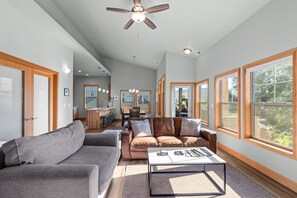 TV, fireplace, books