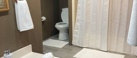 Hair dryer, towels, soap, toilet paper